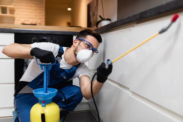 Best Pest Control for Homes  in Broadlands, VA