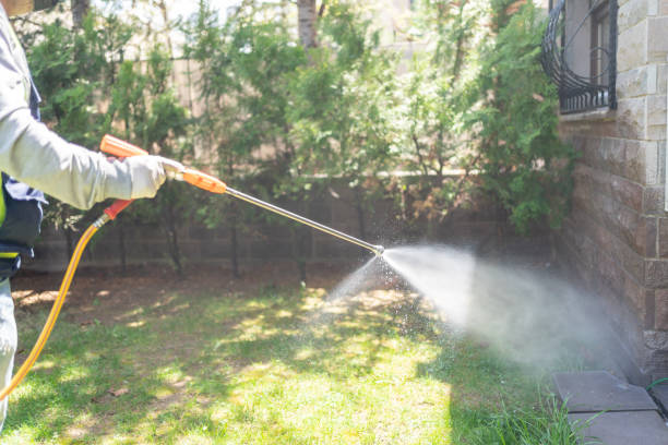 Best Wasp Removal Services  in Broadlands, VA