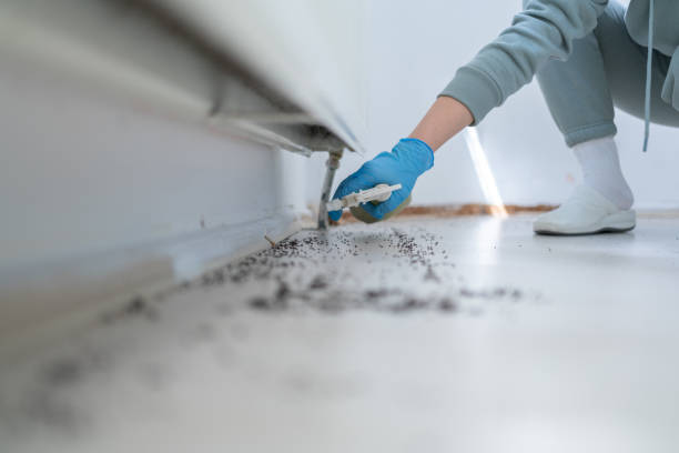 Best Pest Control for Businesses  in Broadlands, VA